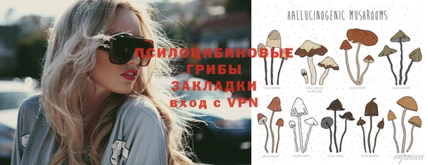 соль курить ск Алексеевка