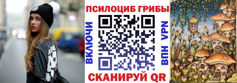 Псилоцибиновые грибы Psilocybe  Цоци-Юрт 
